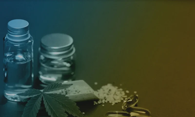 banner-cannabis-fair